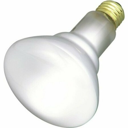 SATCO Bulb 65w BR30 Flood Med, 2PK S2817